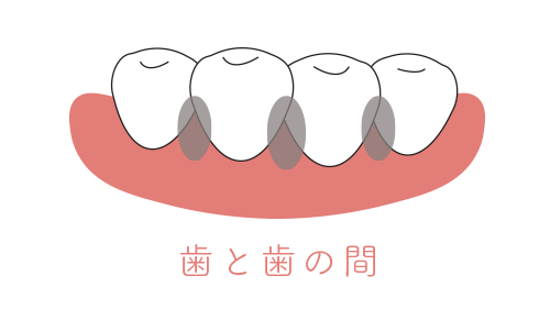 歯と歯の間